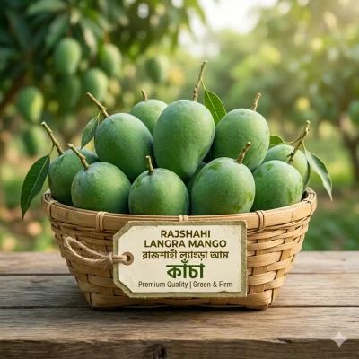 Gemini_Generated_Image_o42td2o42td2o42t