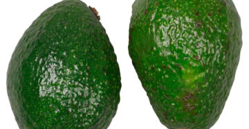 Tescot guava